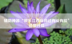 辅助神器“微乐江西麻将过有没有挂”详细开挂