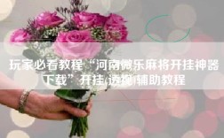 玩家必看教程“河南微乐麻将开挂神器下载”开挂(透视)辅助教程