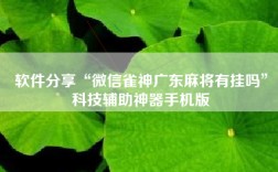 软件分享“微信雀神广东麻将有挂吗”科技辅助神器手机版