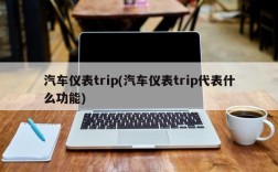 汽车仪表trip(汽车仪表trip代表什么功能)
