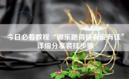 今日必看教程“微乐跑得快有没有挂”详细分享装挂步骤