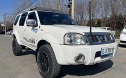 二手帕拉丁值得买吗(求购二手帕拉丁)