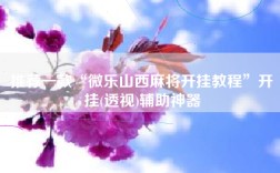 推荐一款“微乐山西麻将开挂教程”开挂(透视)辅助神器
