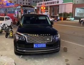 路虎车牌子标志(路虎的车牌子)