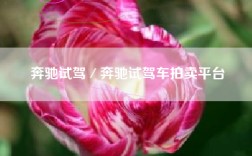 奔驰试驾／奔驰试驾车拍卖平台