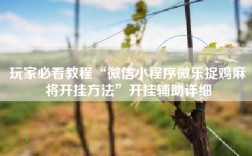 玩家必看教程“微信小程序微乐捉鸡麻将开挂方法”开挂辅助详细