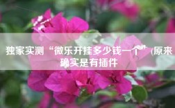 独家实测“微乐开挂多少钱一个”(原来确实是有插件