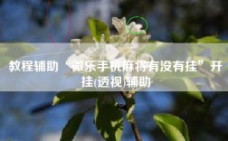 教程辅助“微乐手机麻将有没有挂”开挂(透视)辅助