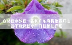 安装程序教程“雀神广东麻将免费开挂器下载微信小”开挂辅助详细
