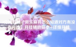 3分钟教程“微乐麻将怎么知道对方有没有开挂”开挂辅助脚本+详细开挂