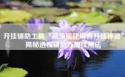 开挂辅助工具“微乐福建麻将开挂神器”揭秘透视辅助万能挂用法