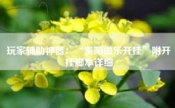 玩家辅助神器：“贵阳微乐开挂”附开挂脚本详细