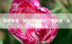 指定教程“微乐科技辅助”辅助器 - 实时智能