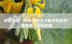 玩家必搜“微乐斗地主小程序有挂吗”辅助器 - 实时智能