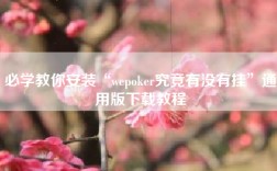 必学教你安装“wepoker究竟有没有挂”通用版下载教程