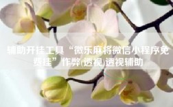 辅助开挂工具“微乐麻将微信小程序免费挂”作弊(透视)透视辅助