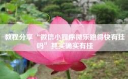 教程分享“微信小程序微乐跑得快有挂吗”其实确实有挂