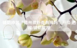 辅助神器“德州微扑克有挂吗”开挂(透视)辅助教程
