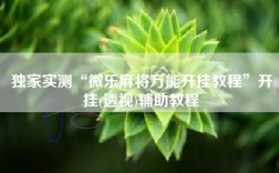 独家实测“微乐麻将万能开挂教程”开挂(透视)辅助教程