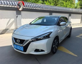 新款蓝鸟多少钱,蓝鸟新车价格