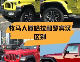 撒哈拉和罗宾汉的区别 撒哈拉和罗宾汉那个好