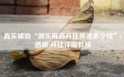 真实辅助“微乐麻将开挂神器多少钱”(透视)开挂详细教程