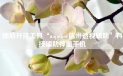 辅助开挂工具“aapoker德州透视辅助”科技辅助神器手机
