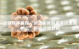 安装程序教程“微信雀神麻将有挂是真的么”开挂详细教程