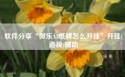 软件分享“微乐A3纸牌怎么开挂”开挂(透视)辅助