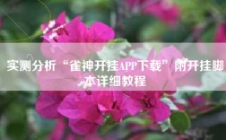 实测分析“雀神开挂APP下载”附开挂脚本详细教程