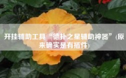 开挂辅助工具“德扑之星辅助神器”(原来确实是有插件)