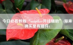 今日必看教程“weipoker开挂辅助”(原来确实是有插件)