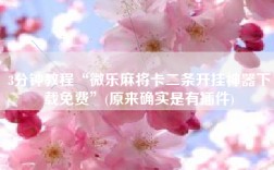 3分钟教程“微乐麻将卡二条开挂神器下载免费”(原来确实是有插件)