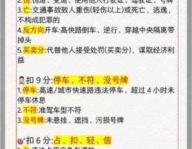山东交通违章查询app 山东交通违章查询官网