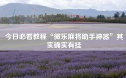 今日必看教程“微乐麻将助手神器”其实确实有挂