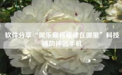 软件分享“微乐麻将规律在哪里”科技辅助神器手机