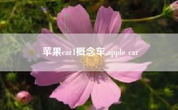 苹果car1概念车,apple car