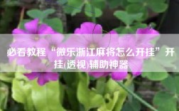 必看教程“微乐浙江麻将怎么开挂”开挂(透视)辅助神器