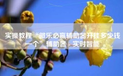 实操教程“微乐必赢辅助器开挂多少钱一个”辅助器 - 实时智能