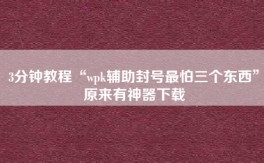 3分钟教程“wpk辅助封号最怕三个东西”原来有神器下载