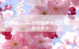 一汽大众magotan价格图片(大众汽车magotan报价多少)