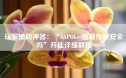 玩家辅助神器：“AAPOker透视作弊安全吗”开挂详细教程