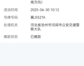 临沂交警网违章查询(临沂交警在线查询违章)