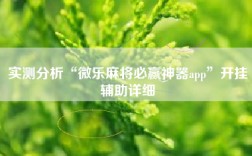 实测分析“微乐麻将必赢神器app”开挂辅助详细