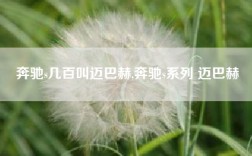 奔驰s几百叫迈巴赫,奔驰s系列 迈巴赫