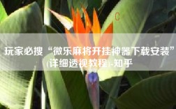 玩家必搜“微乐麻将开挂神器下载安装”(详细透视教程)-知乎