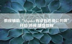 教程辅助“AApoker有没有透视公共牌”开挂(透视)辅助教程