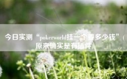 今日实测“pokerworld挂一个要多少钱”(原来确实是有插件)