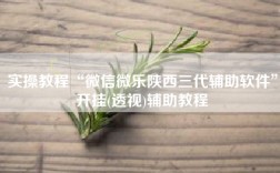实操教程“微信微乐陕西三代辅助软件”开挂(透视)辅助教程
