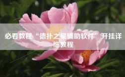 必看教程“德扑之星辅助软件”开挂详细教程